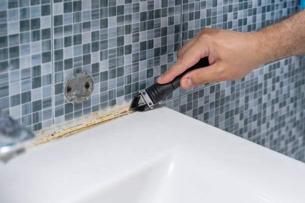 Best Mold Removal Near Me  in Santa Fe Springs, CA